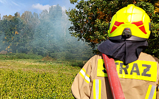 Strażacy i leśnicy przećwiczą się w gaszeniu pożarów. Przygotowano także atrakcje dla mieszkańców